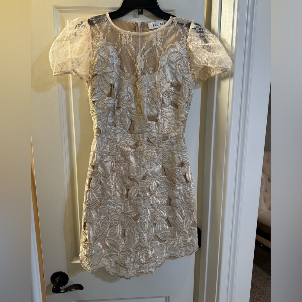 Elliatt Cream Embroidered Floral Lace Mini Dress